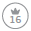 Principle 16