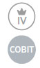 Cobit icon